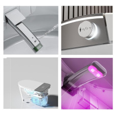Унитаз Ceruttispa Ester CT10617 68х40, Безободковый, Овальная, Белый, Белый, серый, Керамика