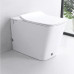 Унитаз Ceruttispa Disgrazia Pulse CT7269 60х35, Безободковый, Прямоугольная, Белый, Сантехнический фарфор Унитаз Ceruttispa Disgrazia Pulse CT7269 60х35, Безободковый, Прямоугольная, Белый, Сантехнический фарфор